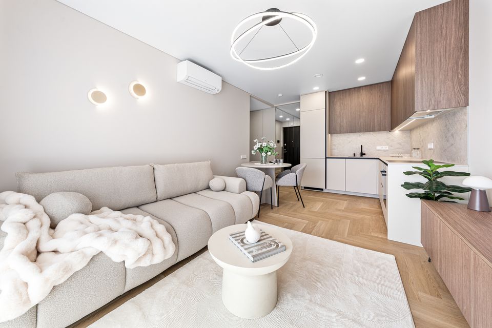 45,04 m² buto svetainė ir virtuvė